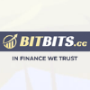 Überblick über das BitBits-Projekt