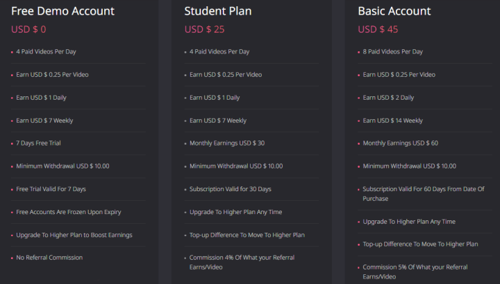 Investment plans of the PaidReels project