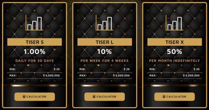 Investment plans of the Tiser project