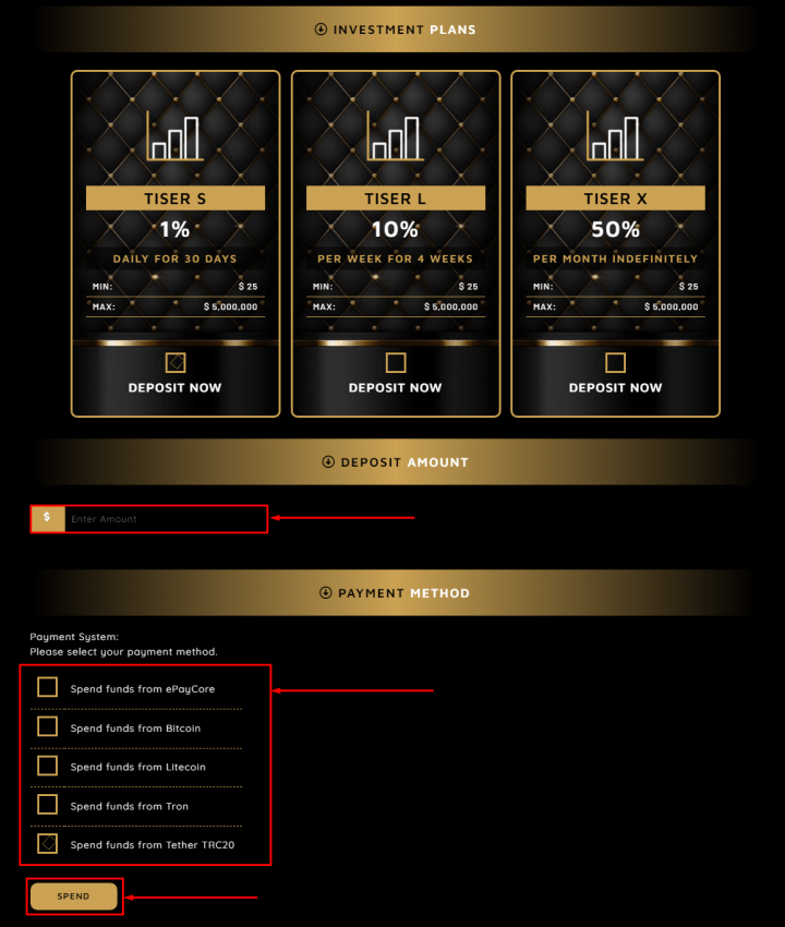 Создание депозита в проекте Tiser