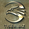 Overview of the Tiser project