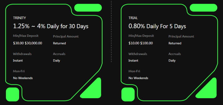 Investment plans of the TrinityAI project