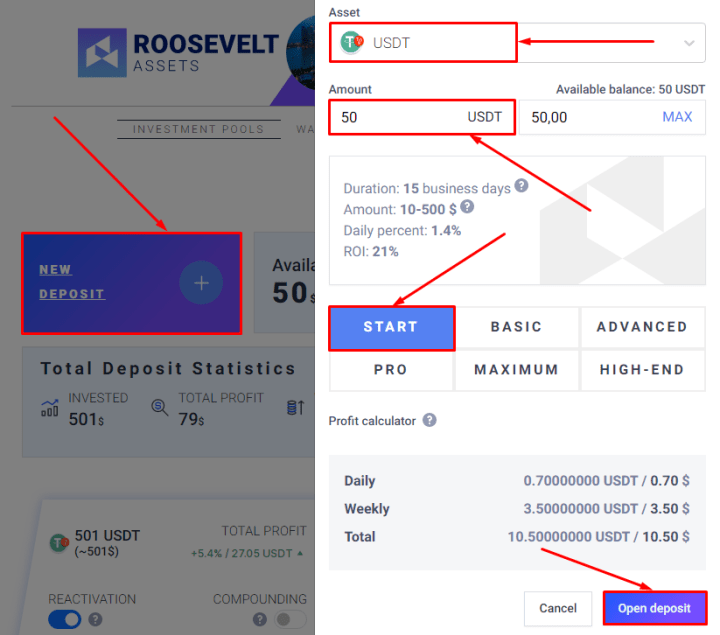 Creating a deposit in the Roosevelt Assets project