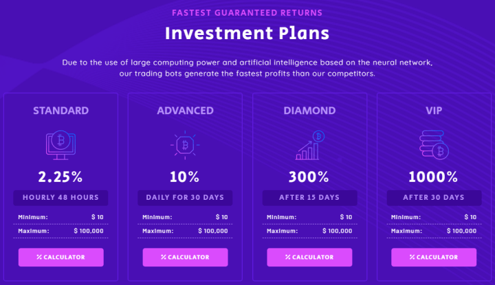 Investitionspläne des Bit Lotto-Projekts