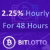 Panoramica del progetto BitLotto