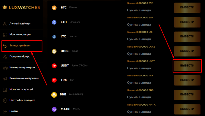 Withdrawal of funds in the LuxWatches project