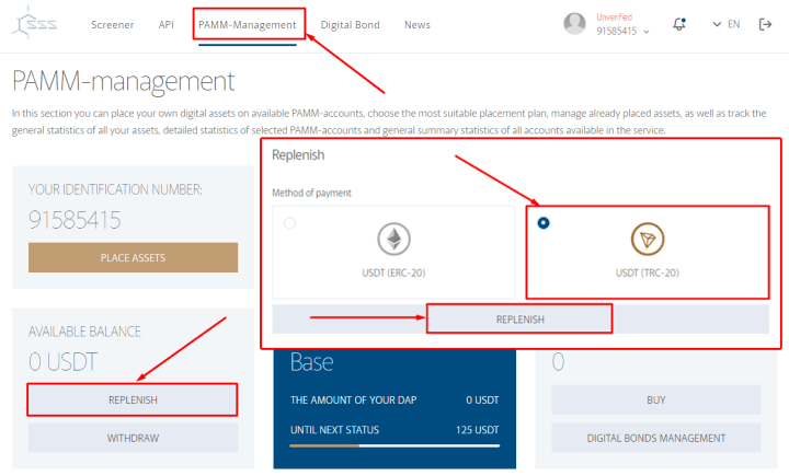 Пополнение баланса в проекте SSS