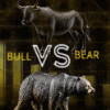 Bull vs Bear жобасына шолу