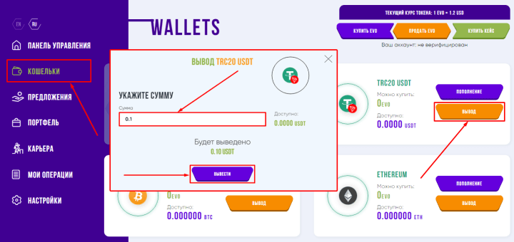 Withdrawal of funds in the EvolaTeam project