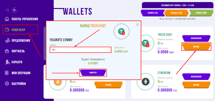 EvolaTeam 프로젝트 자금 인출