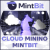 Přehled projektu MintBit