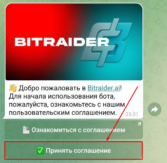 Регистрация в проекте Bitraider Регистрация в проекте Bitraider