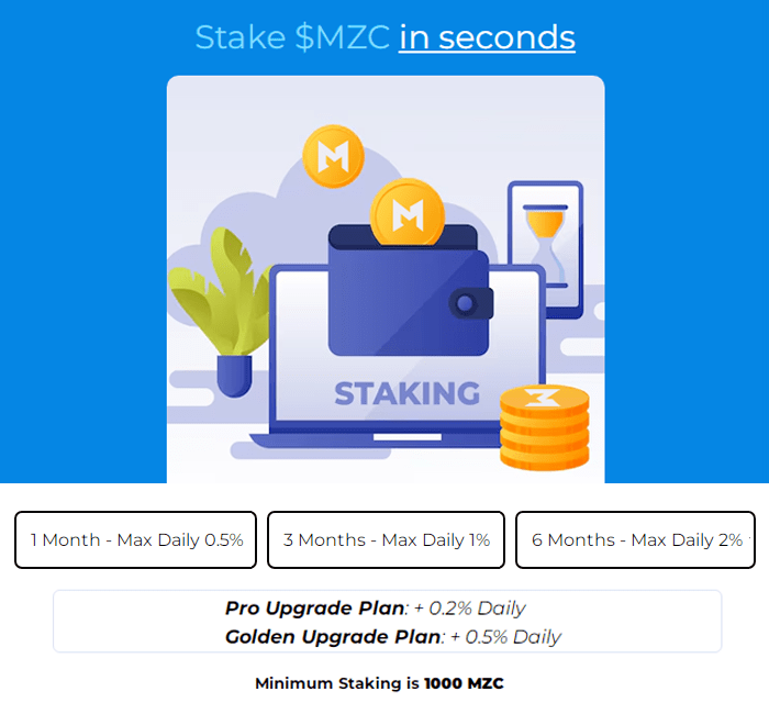 Инвестиционные планы проекта Monezy