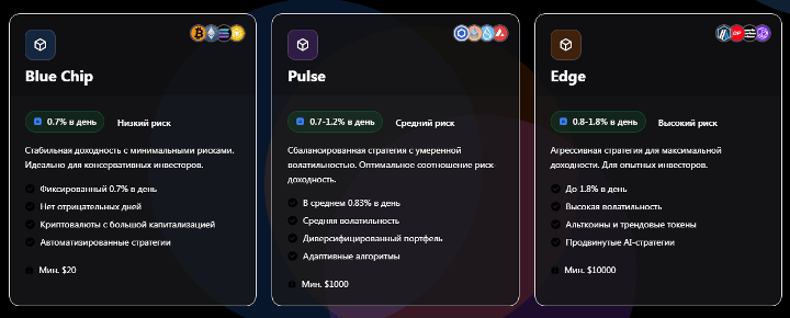 Инвестиционные планы проекта Syntra